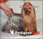 MOSKOVSKIY TALISMAN INIMITABLE -II