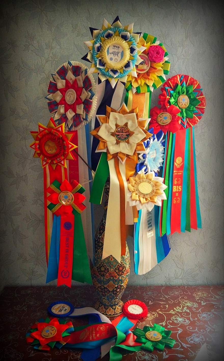 Emma`s Caprice VALTEN HOUND EMMA`S CAPRICE &mdash; Labaza DogPedigree YorkshireTerrier