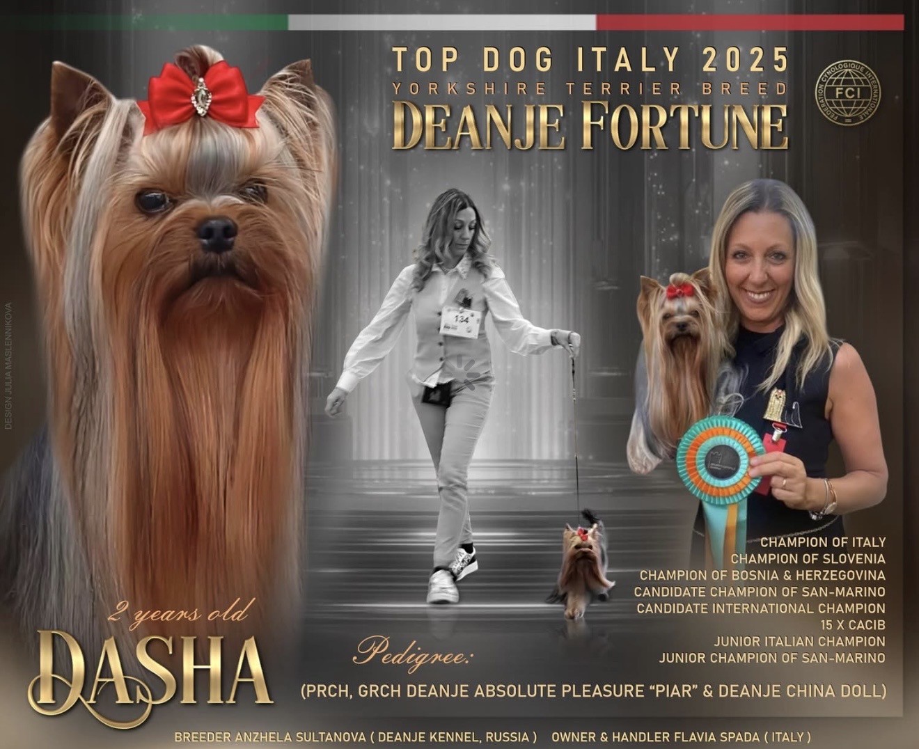 DEANJE DEANJE FORTUNE &mdash; Labaza DogPedigree YorkshireTerrier