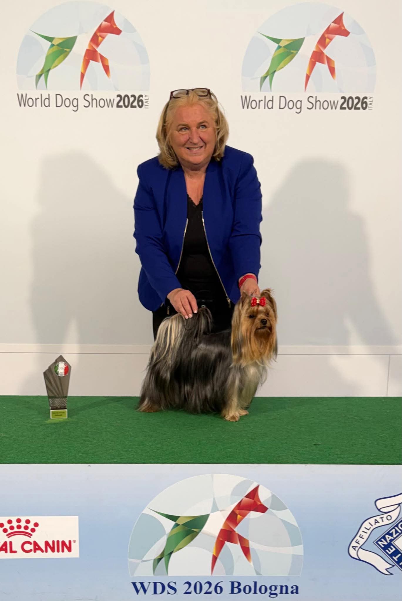 DEE ROYAL RAFAELO &mdash; Labaza DogPedigree YorkshireTerrier