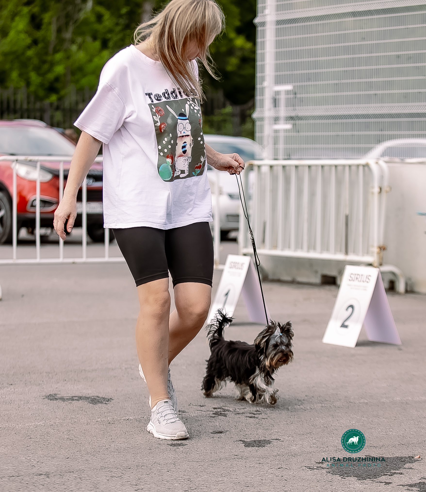 Zhuk_Lena &mdash; Labaza DogPedigree YorkshireTerrier
