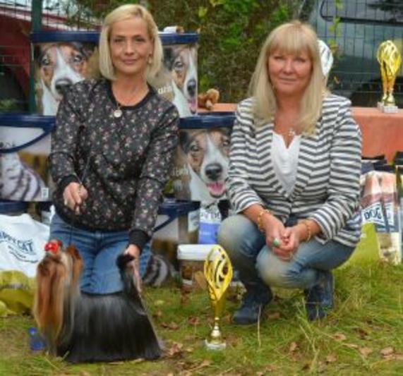 BACK TO THE FUTURE DU GALOP DU GLOBE &mdash; Labaza DogPedigree YorkshireTerrier