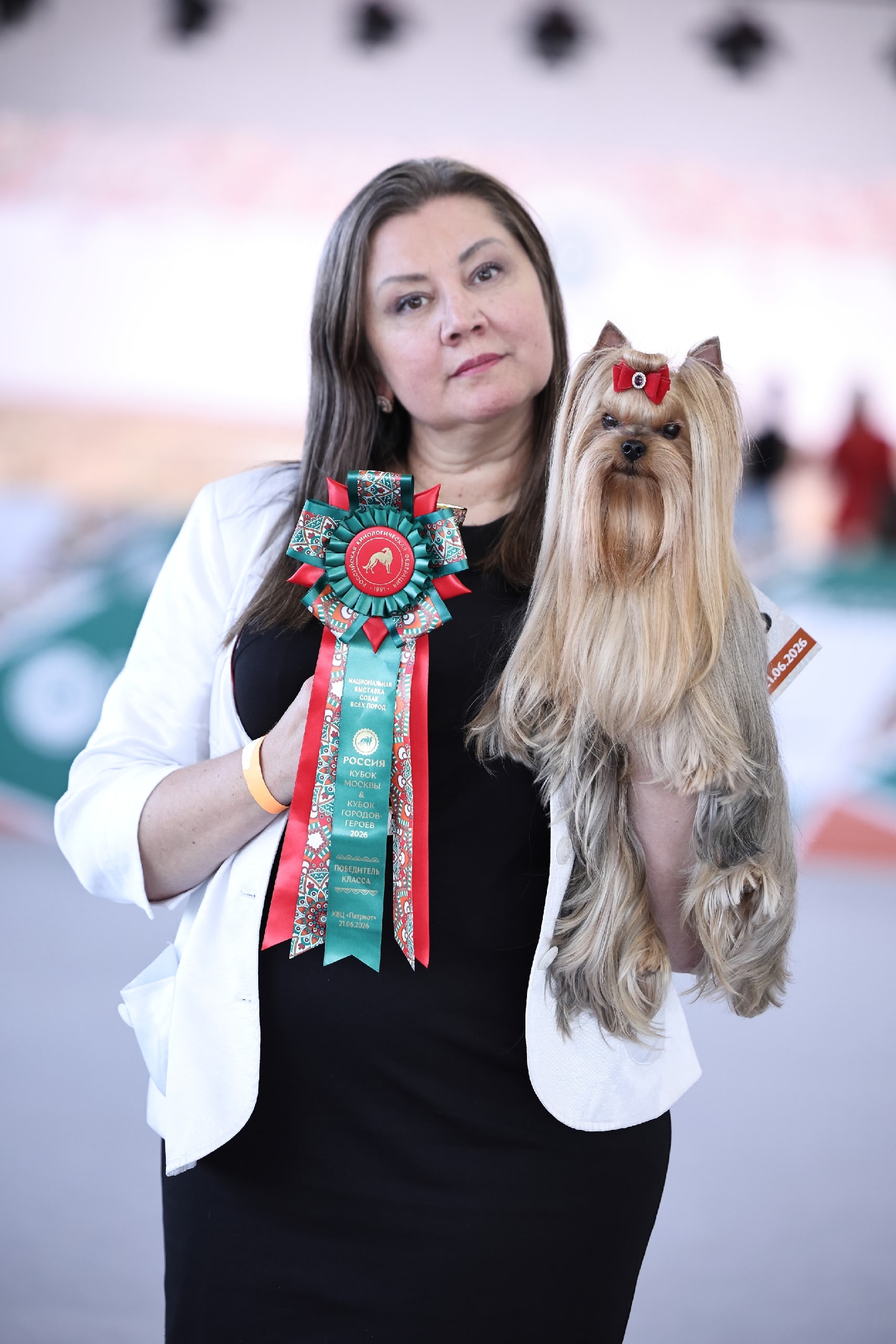 Gala911 &mdash; Labaza DogPedigree YorkshireTerrier